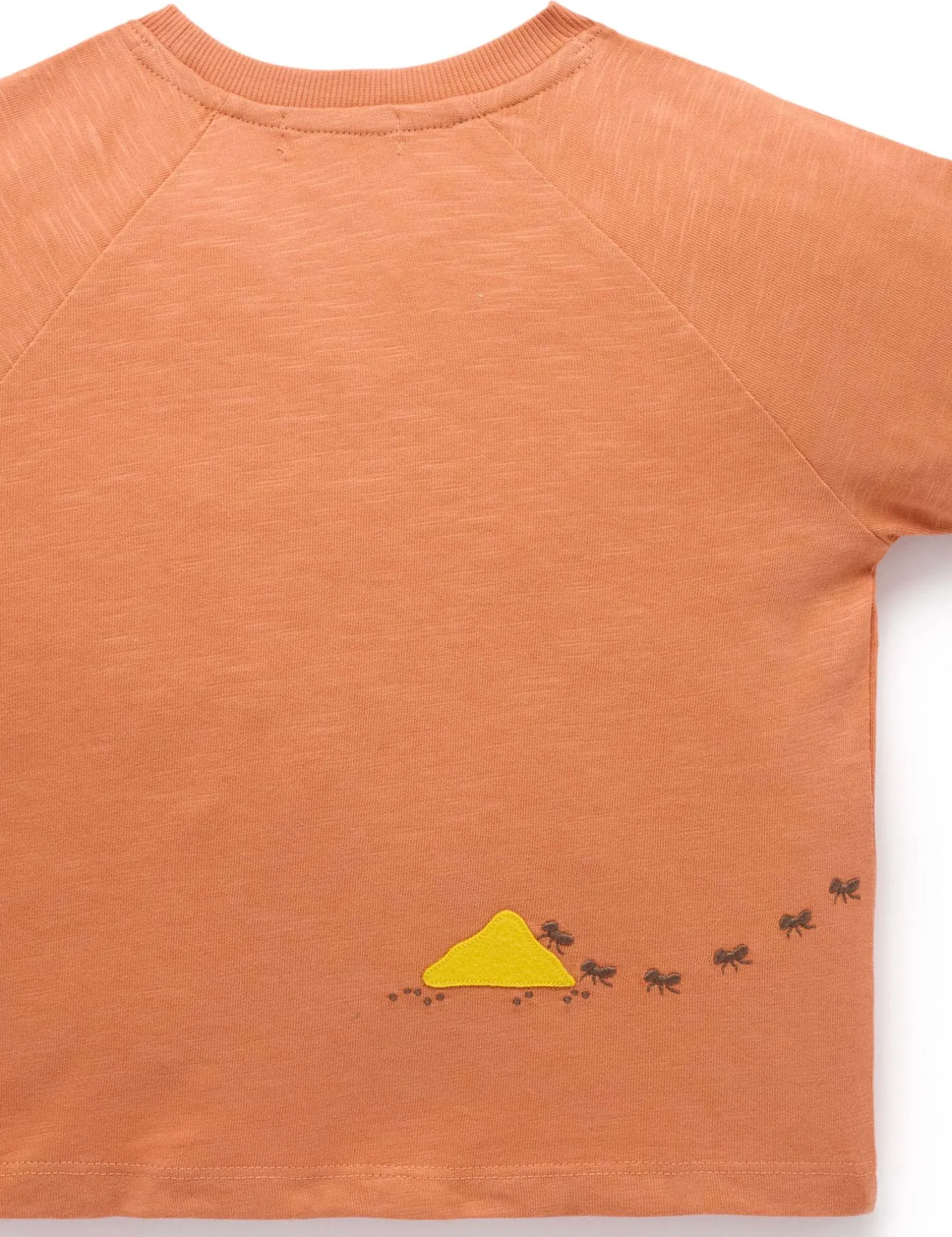 Anteater Oversized Tee