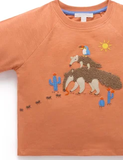 Anteater Oversized Tee
