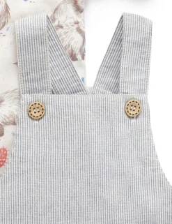 Anteater Striped Overall Set