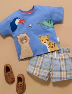 Check Shorts