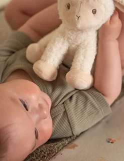 Cuddle Sheep