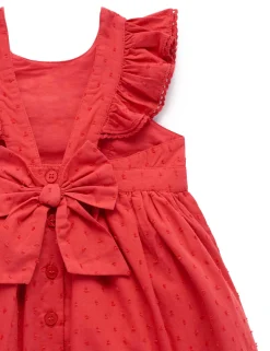 Festive Dress