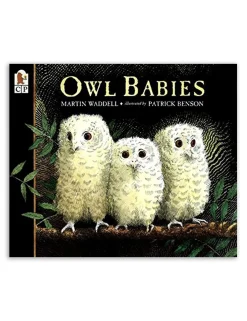 Owl Babies