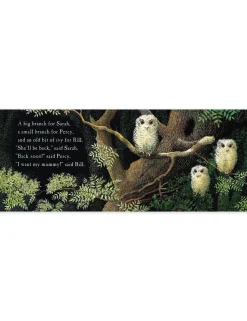 Owl Babies