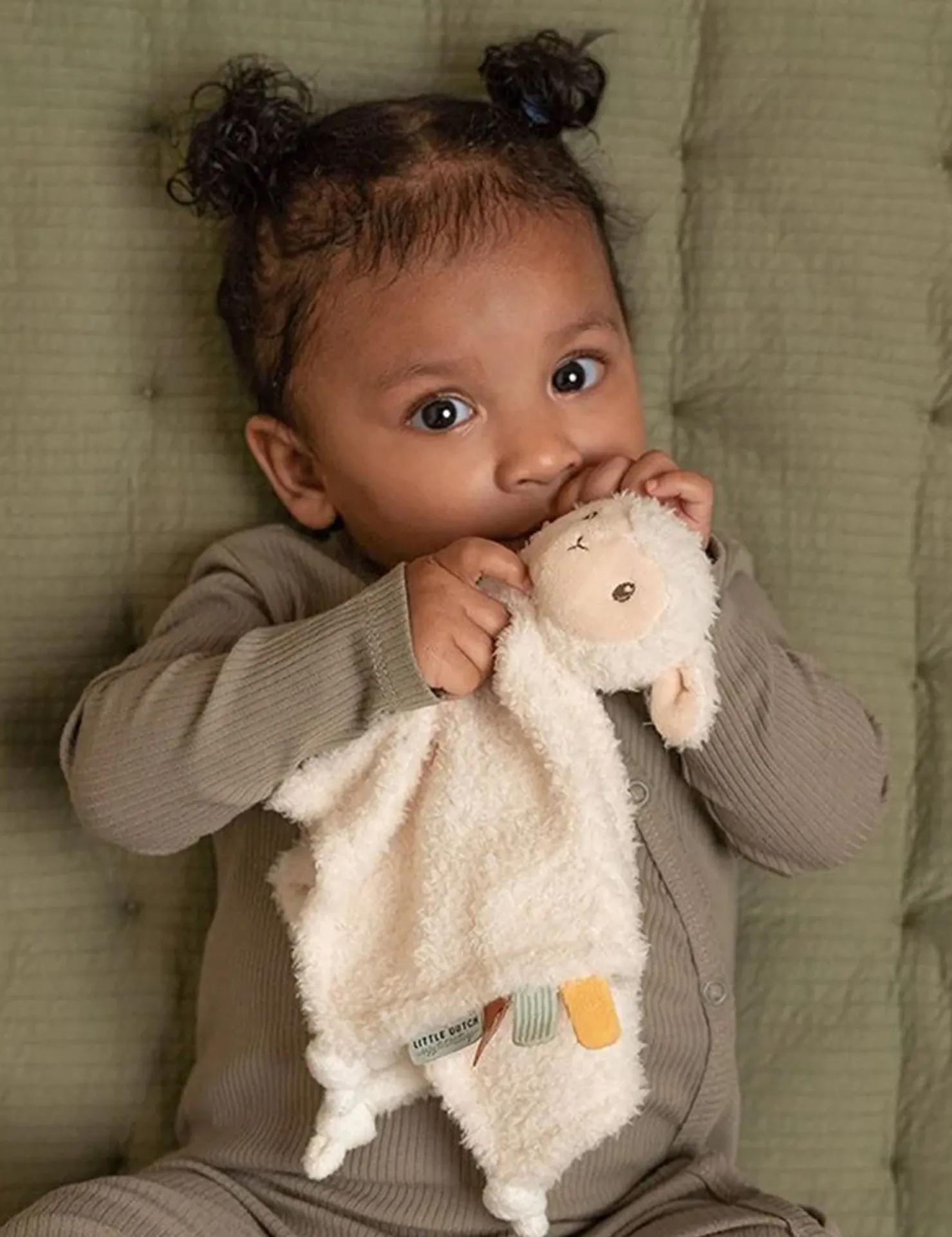 Sheep Cuddle Cloth
