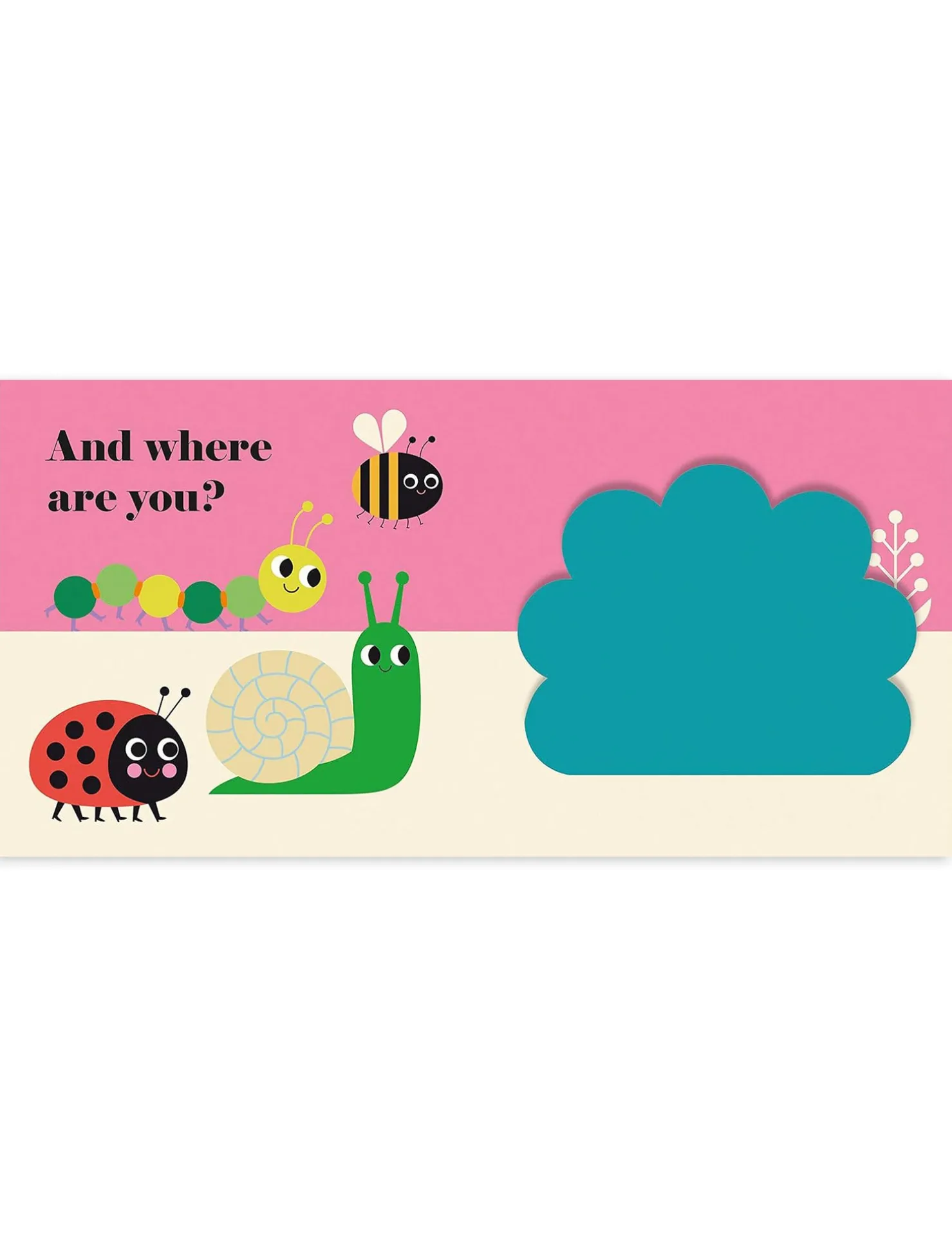 Where's Mrs Ladybird?